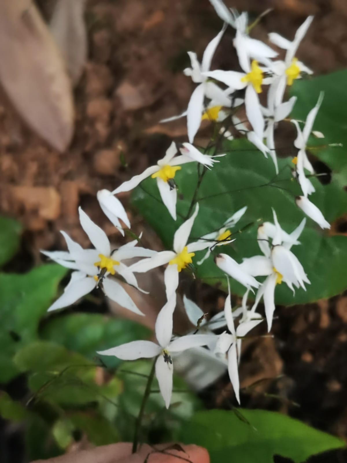 WhatsApp Image 2020-04-16 at 08.26.20 (1)