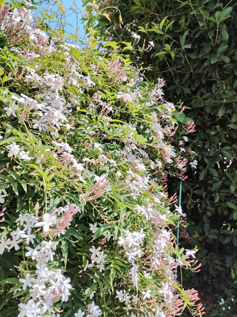 img_20250430_1200047269621544528122884