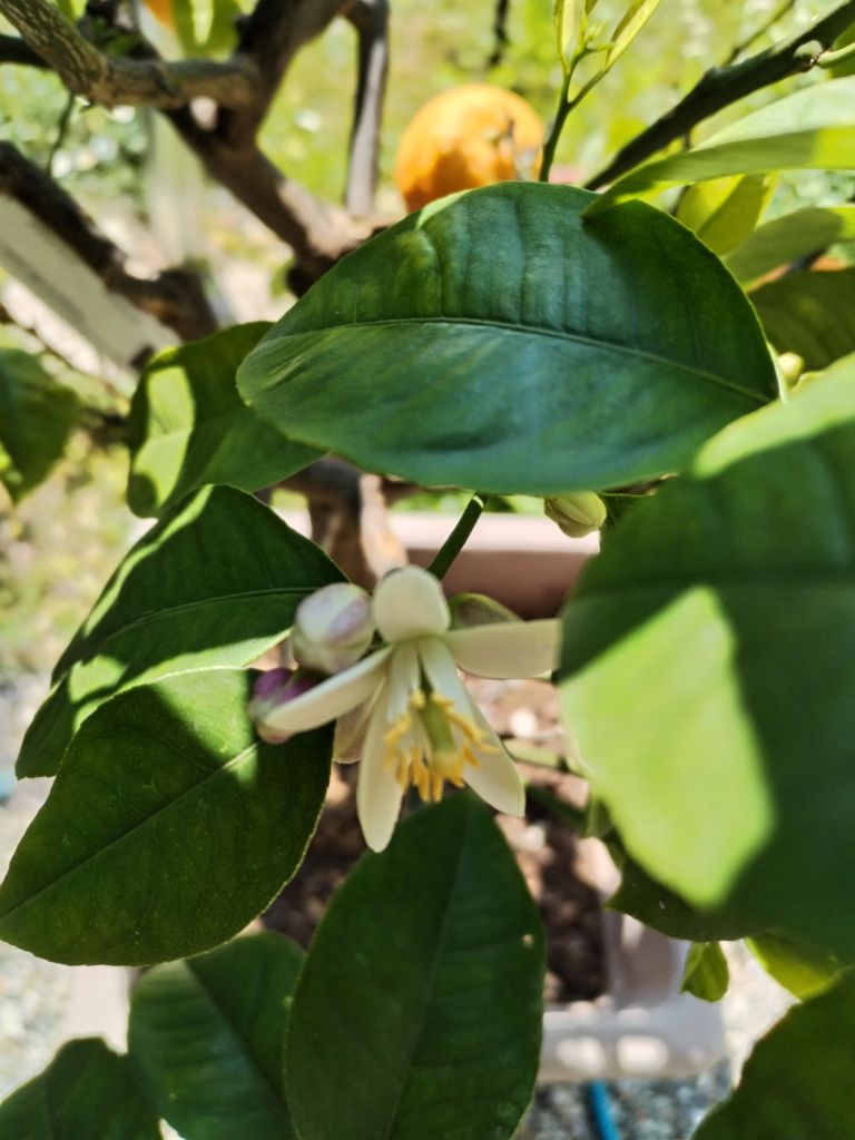 img_20250430_1200303749972275531021103