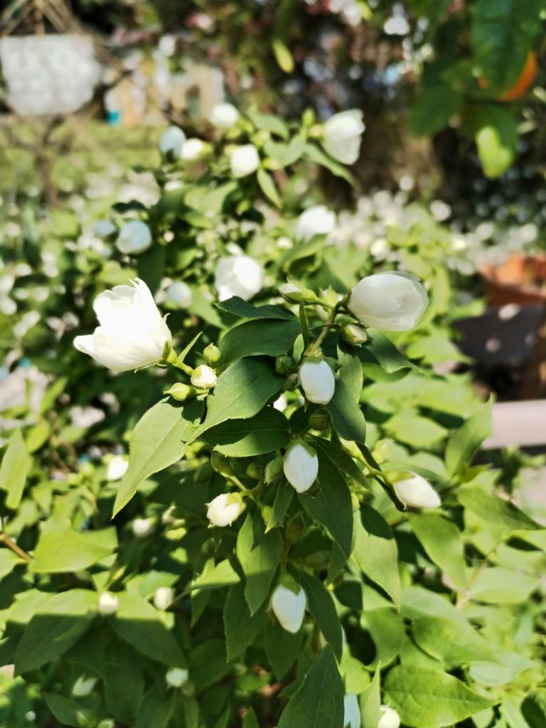 img_20250430_1200456653600234813564441